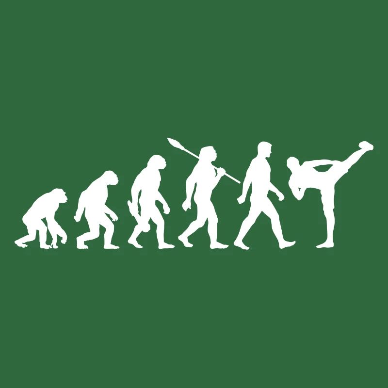Evolution - MMA - Arts Martiaux