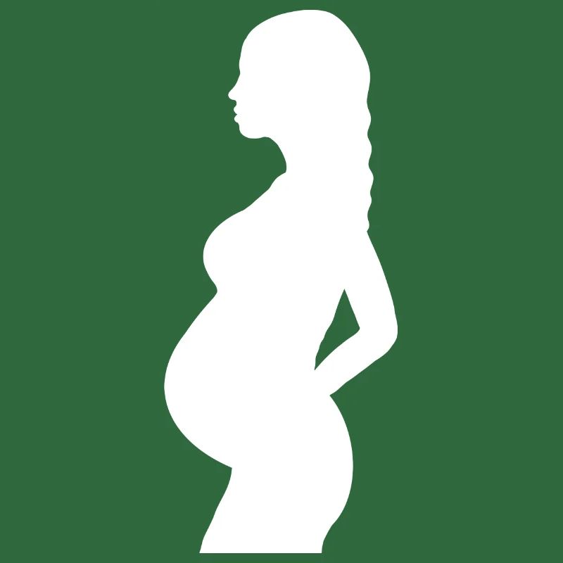 Enceinte