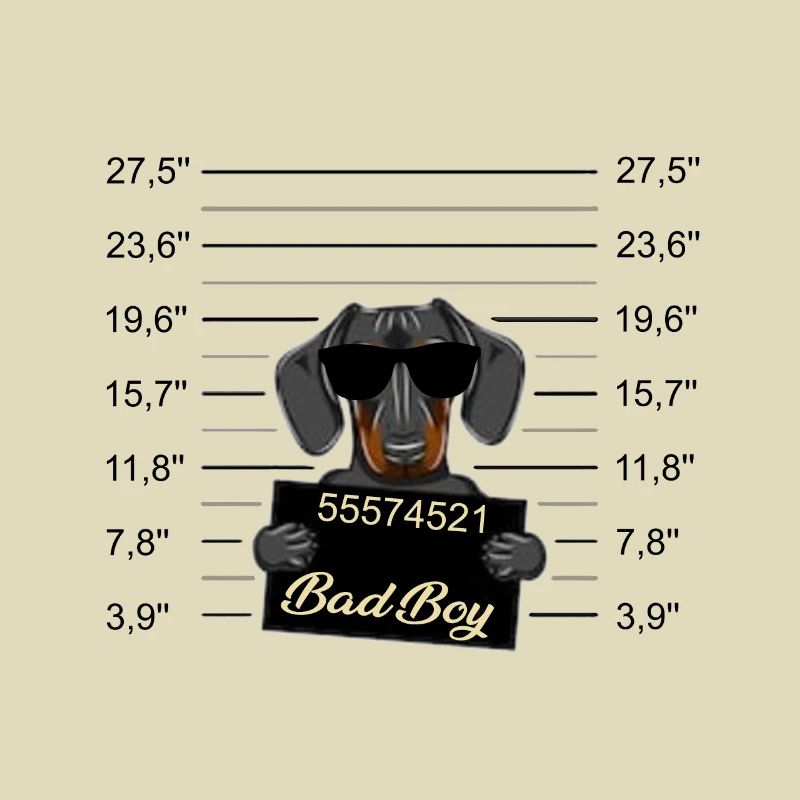 Bad Boy Dackel oder junger Dobermann - Böser Hund