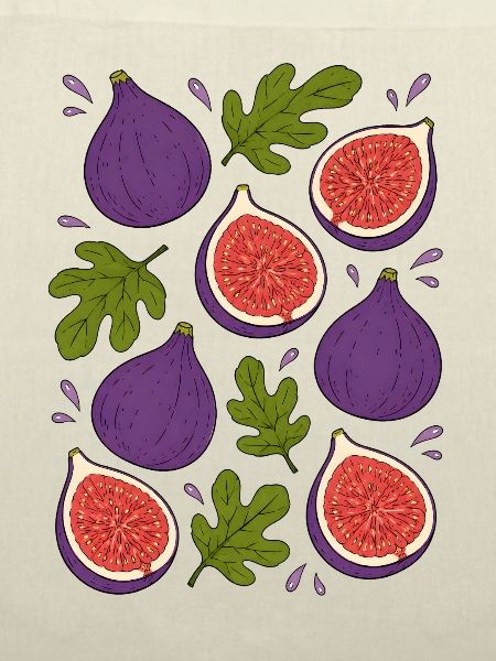 Feigen | Frucht Botanik & Mediterran