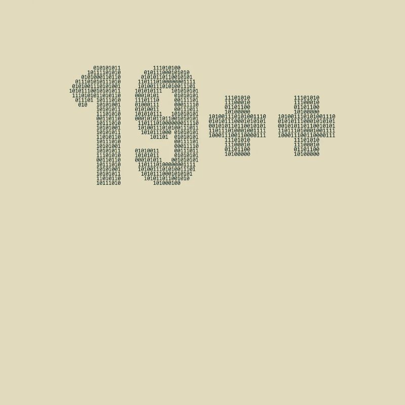 19++ Programmierer Softwareingenieur Coder 20.
