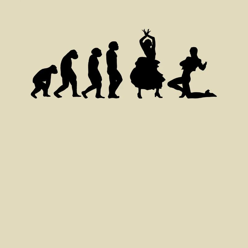 Flamenco Dancer Flamenco Dance Evolution
