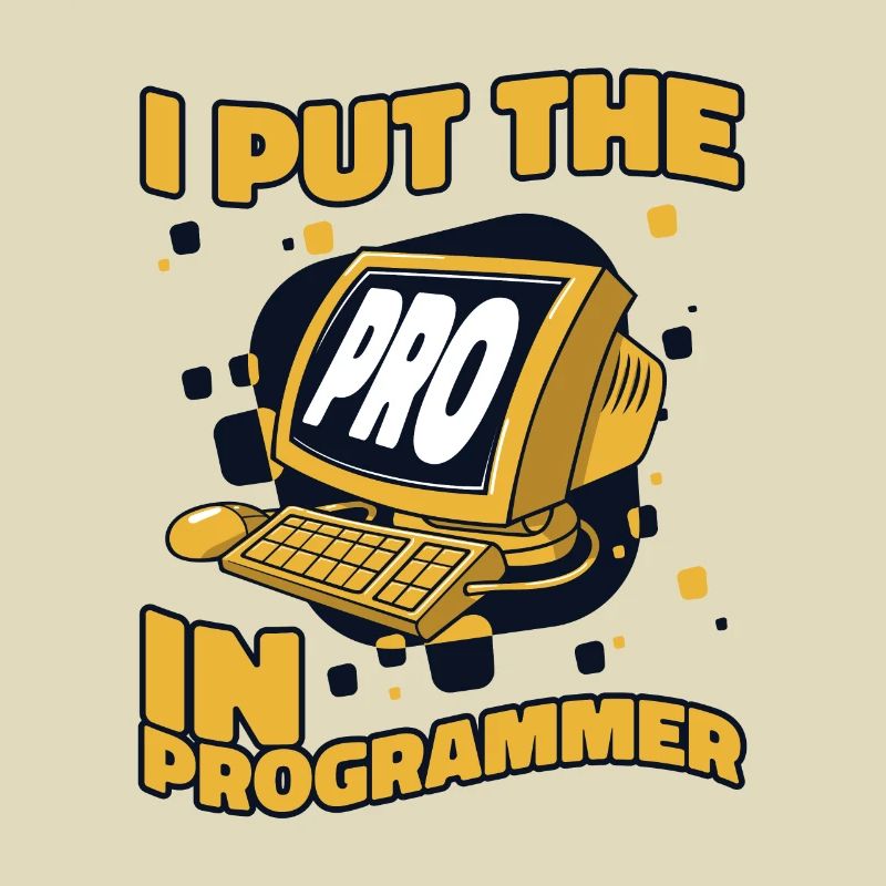 J’ai mis le pro dans Programmeur Developer Coder