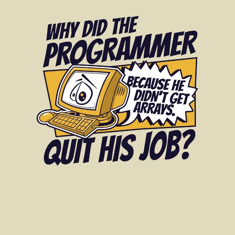 Why Did Programmer Quit Job Developer Coder