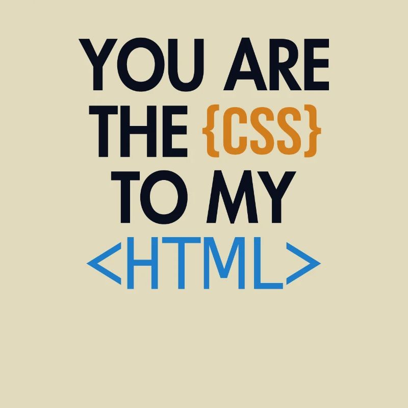 Vous êtes le CSS de mon HTML Developer Coder