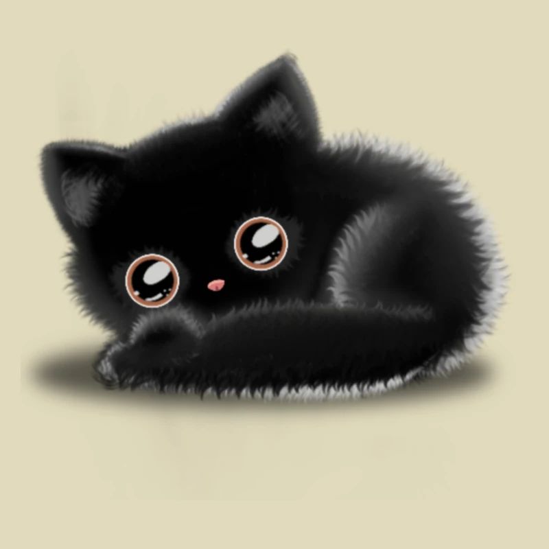 Schwarze Katze 🐈⬛