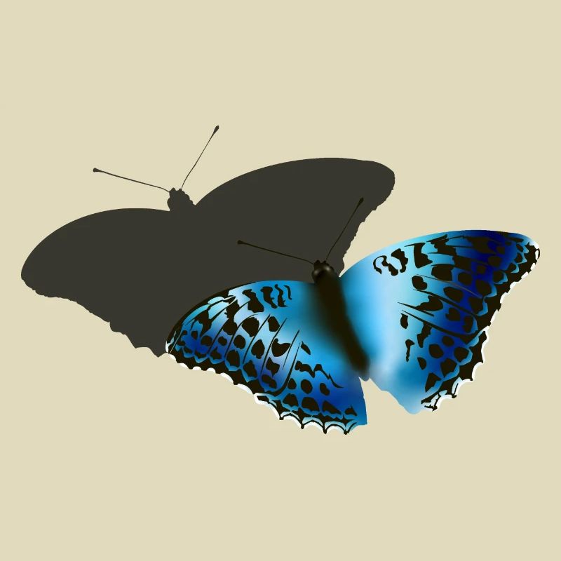 Blauer Schmetterling