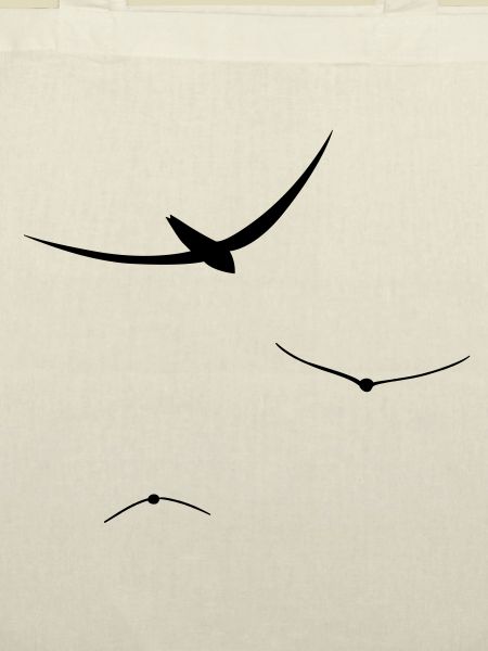 birds free fly