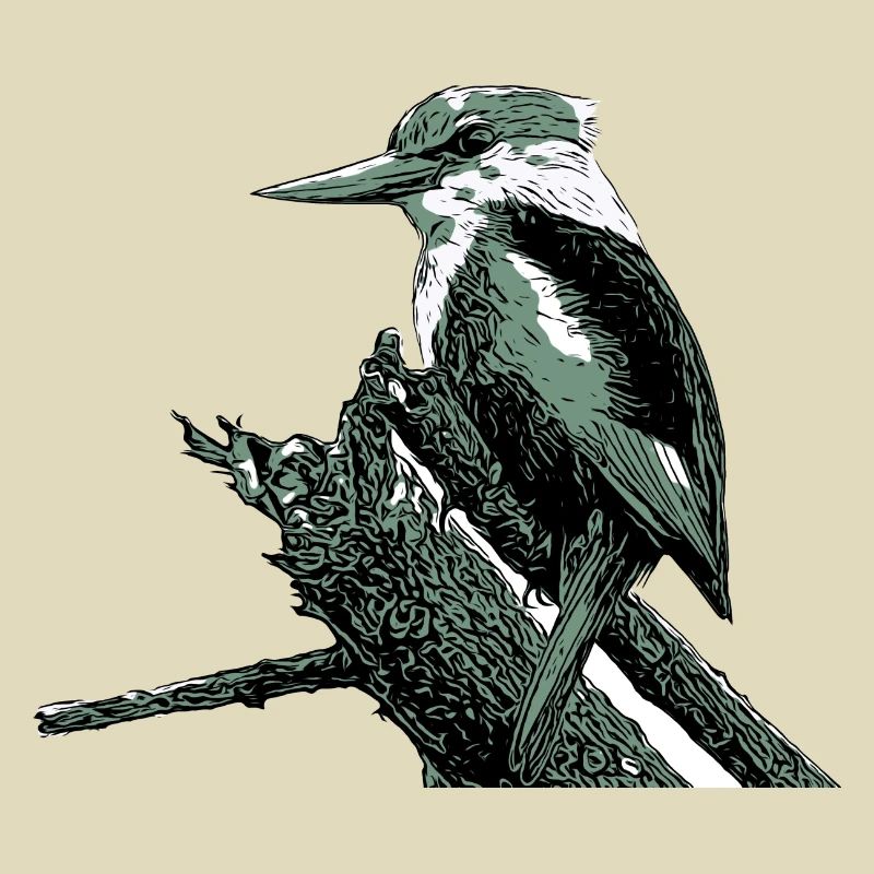 Eisvogel