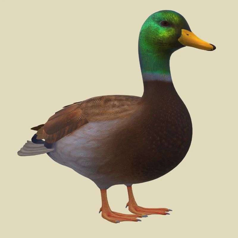 3D Ente