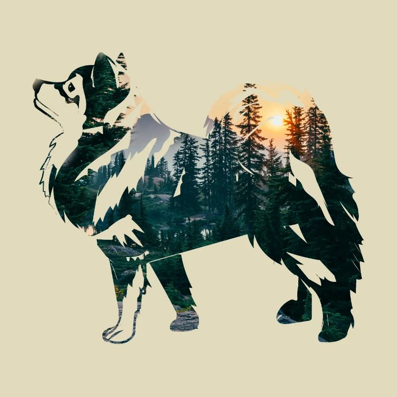Finnischer Lapphund mit Wald
