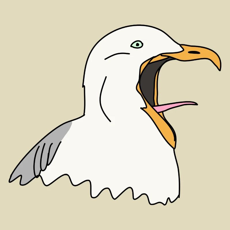 Möwe schreit