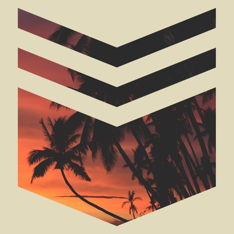 Palm Beach Triangle
