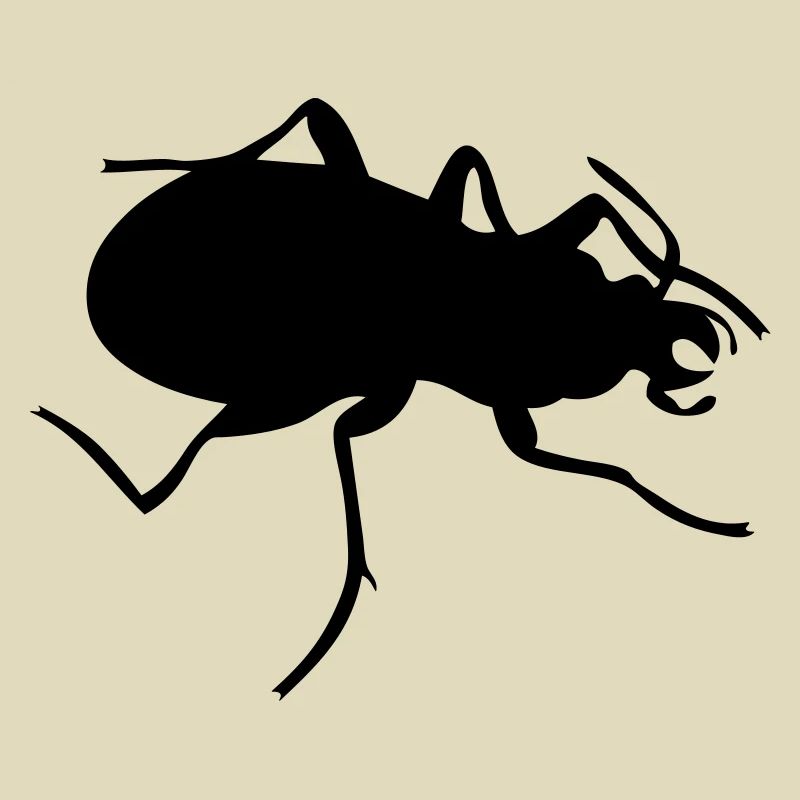 Käfer