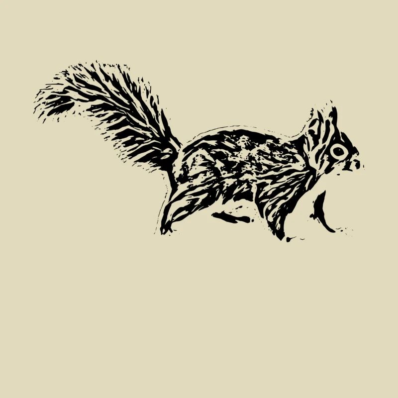 squirrel