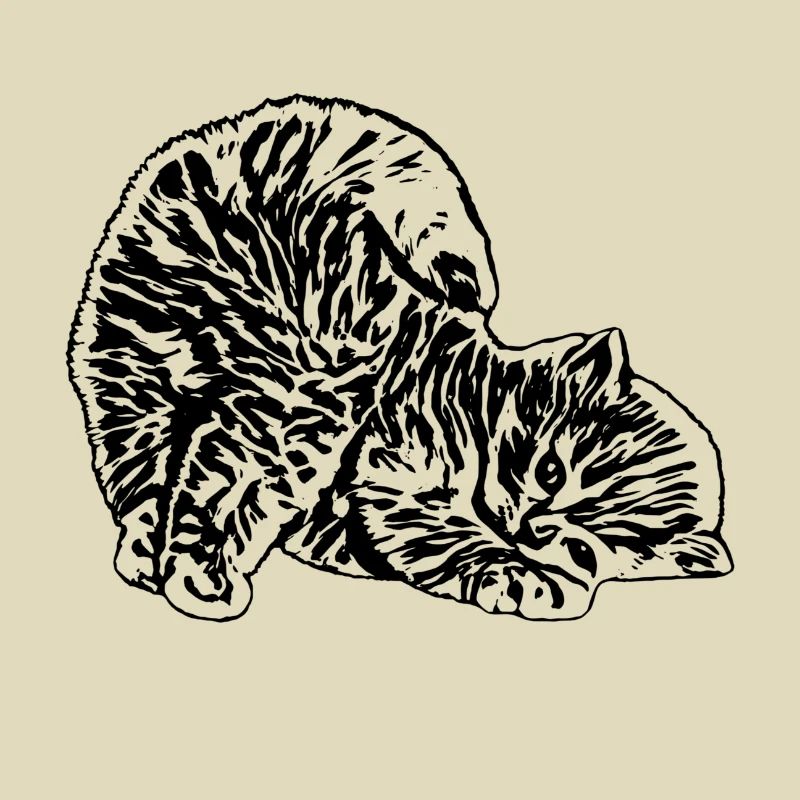 Katze