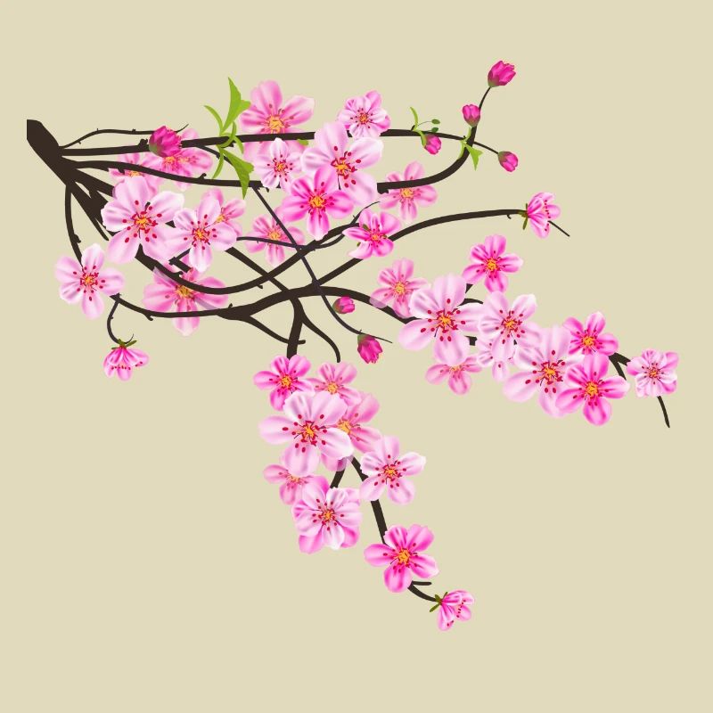 Sakura Blume