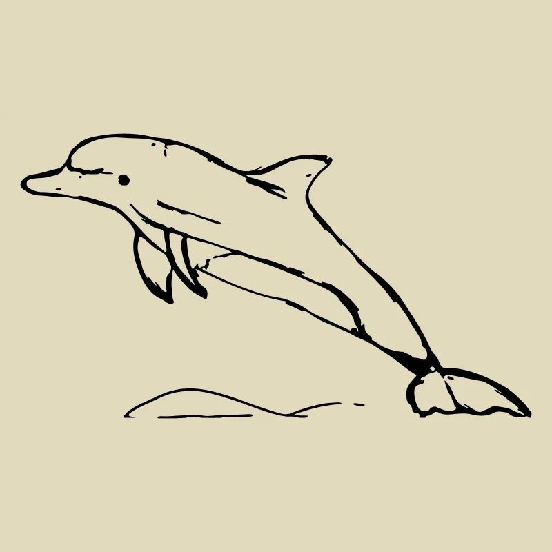 Springender Delphin Geschenk