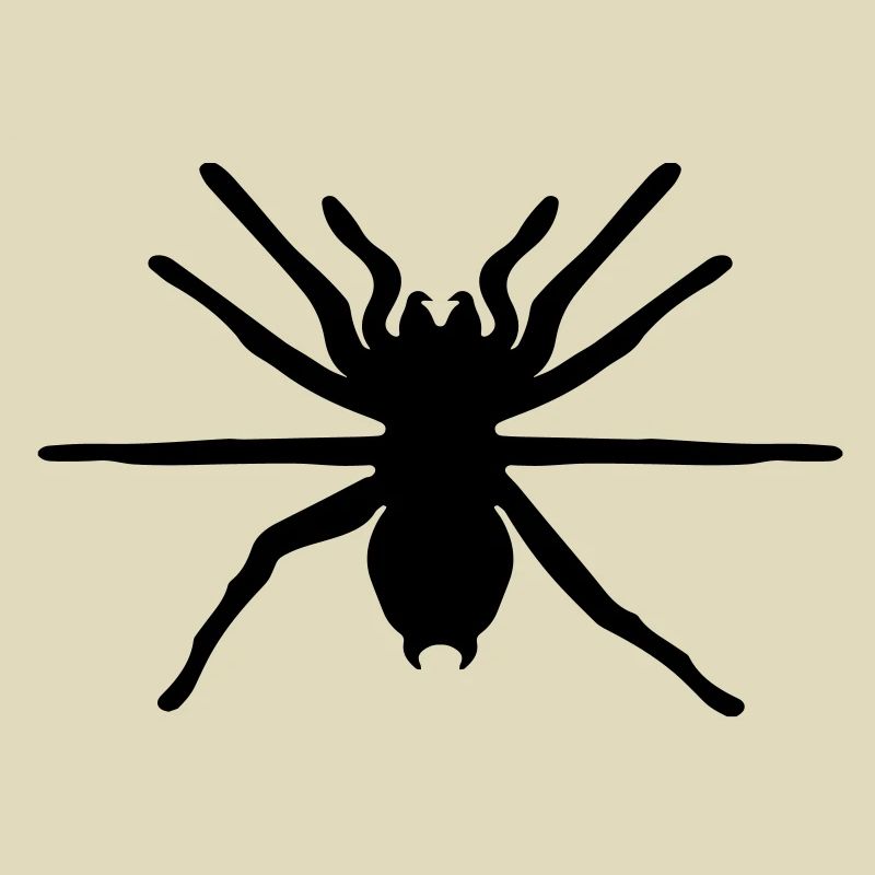 spinne