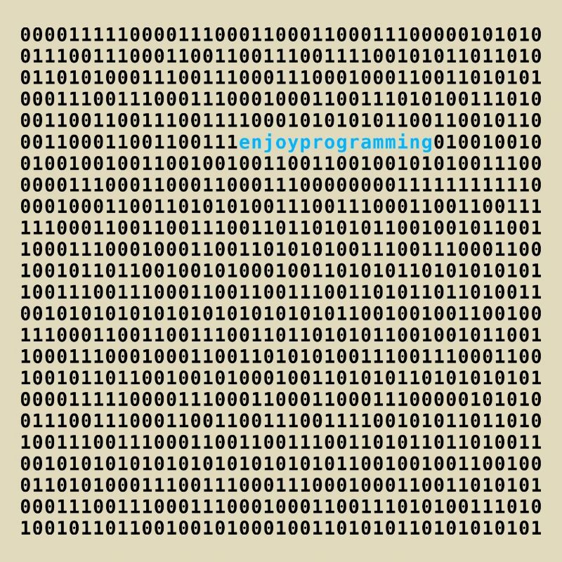 enjoy progamming computer