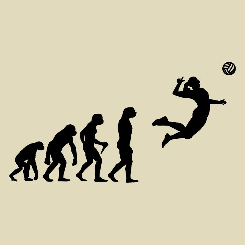 Volley Development Evolution Sport Volleyball Gesc