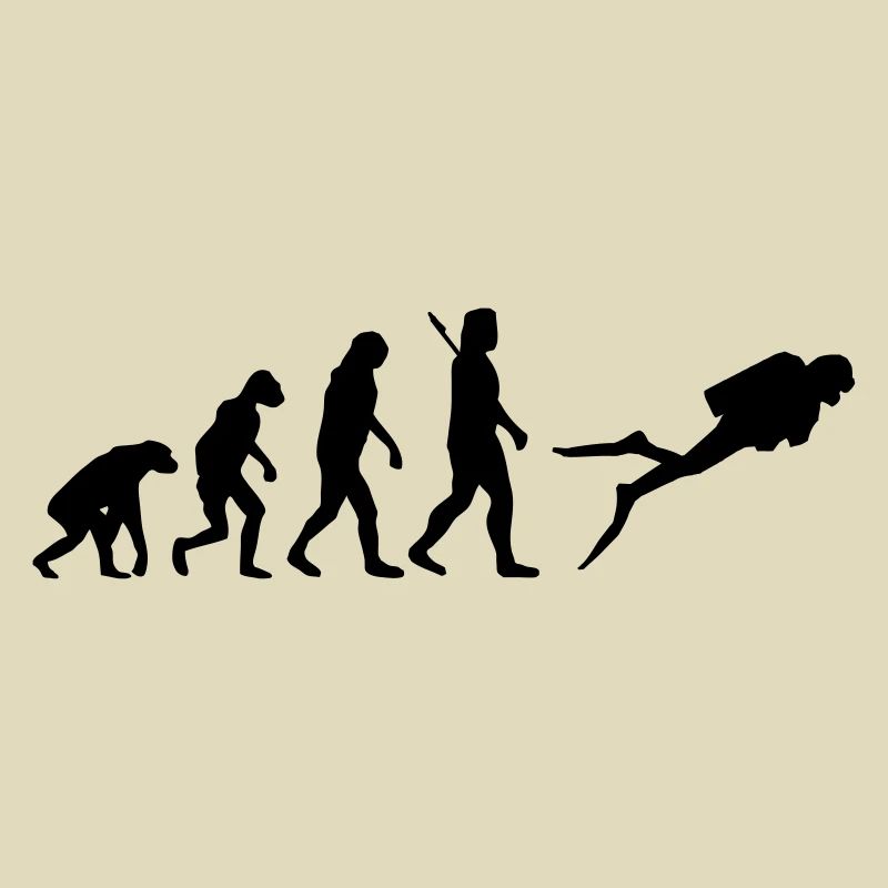 Evolution Tauchen
