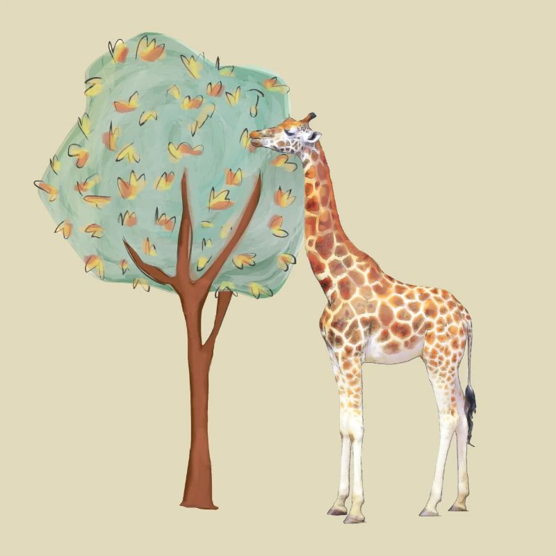 Giraffe | Giraffe
