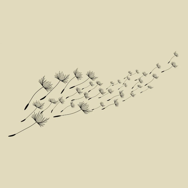 Pusteblume Löwenzahn Fliegende Samen