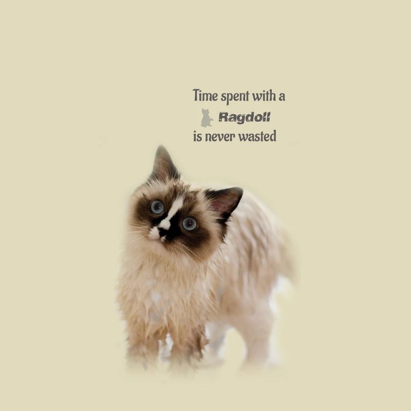 Time spent with a Ragdoll - Geschenkidee