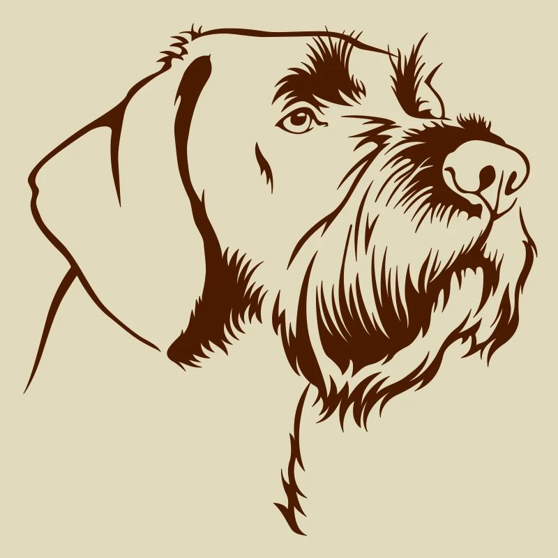 Deutsch Drahthaar Portrait