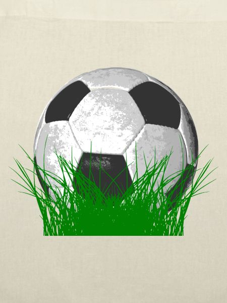 Fußball im Gras