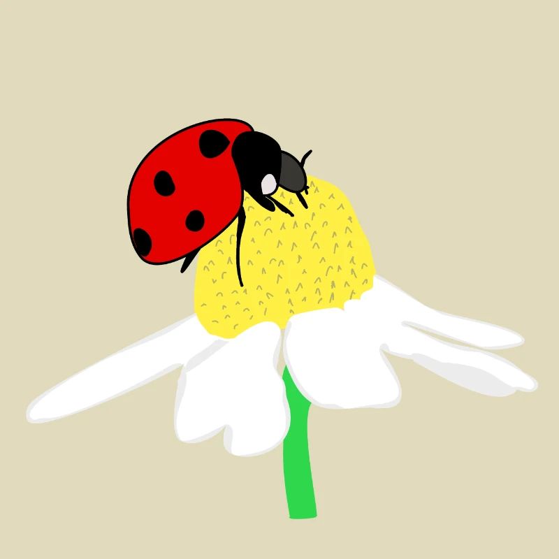 Marienkäfer Glück Gänseblümchen