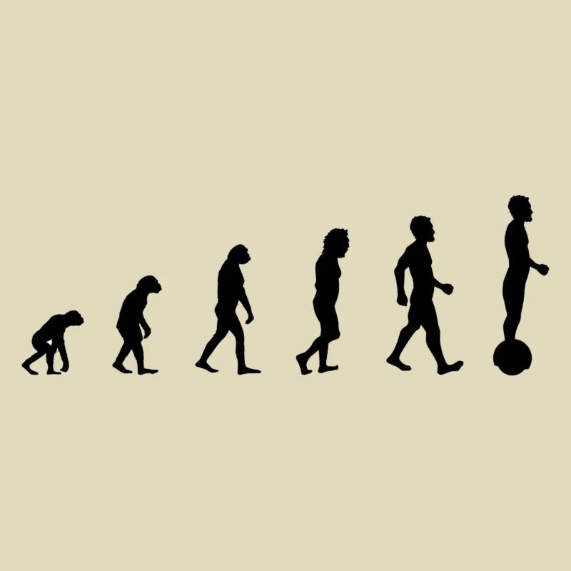 Gyroroue évolution