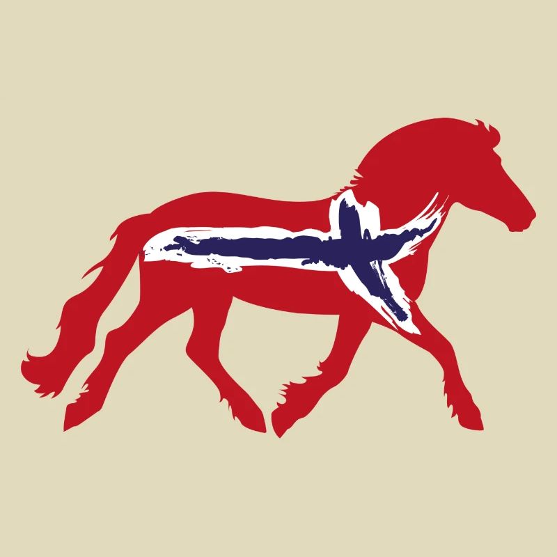 Norweger mit Flagge
