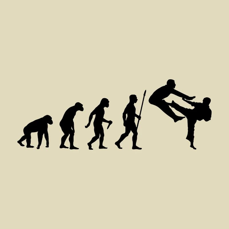 Évolution du karaté