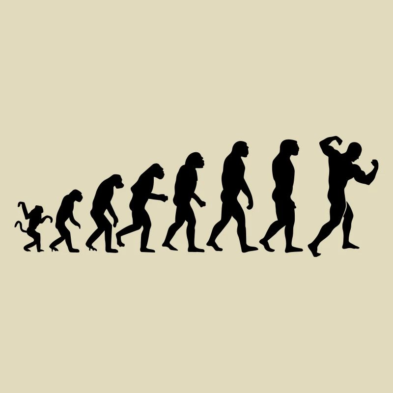Evolution de la musculation