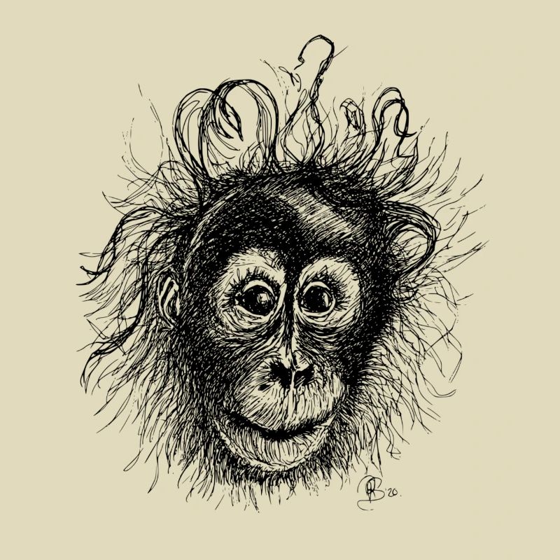 Orang-Utan
