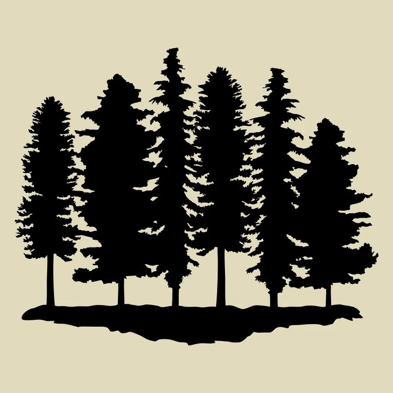 Wald, Bäume, Baum