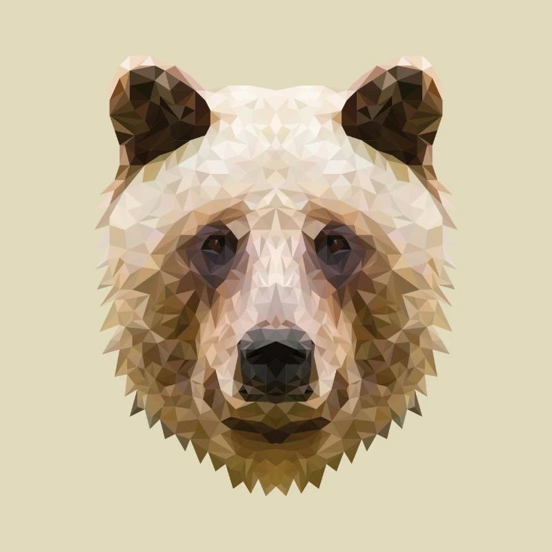 Bär Polygon - Cooles Design