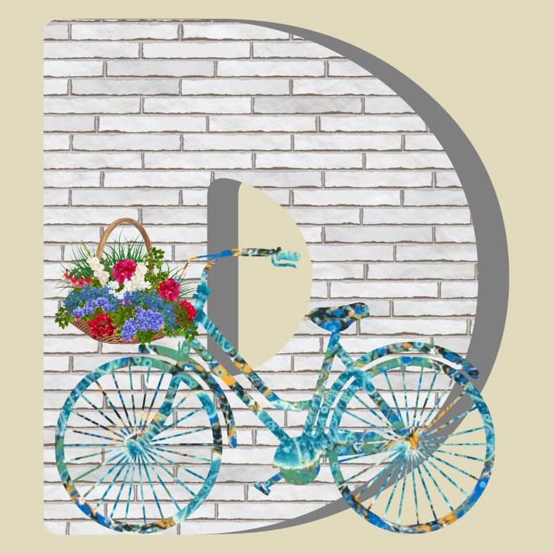 vélo e 100 d