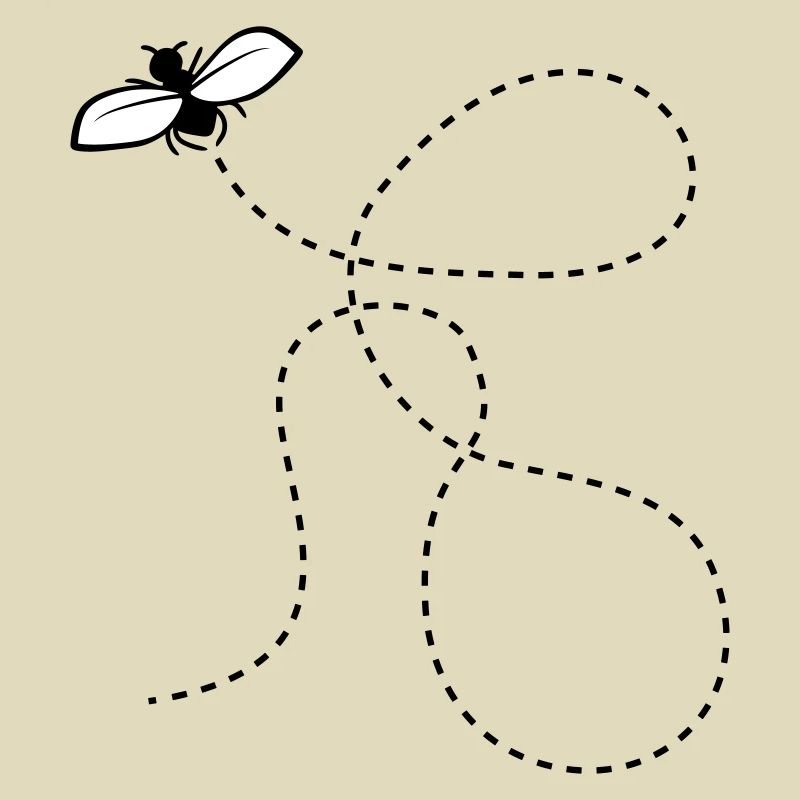 Dashed Line Fly