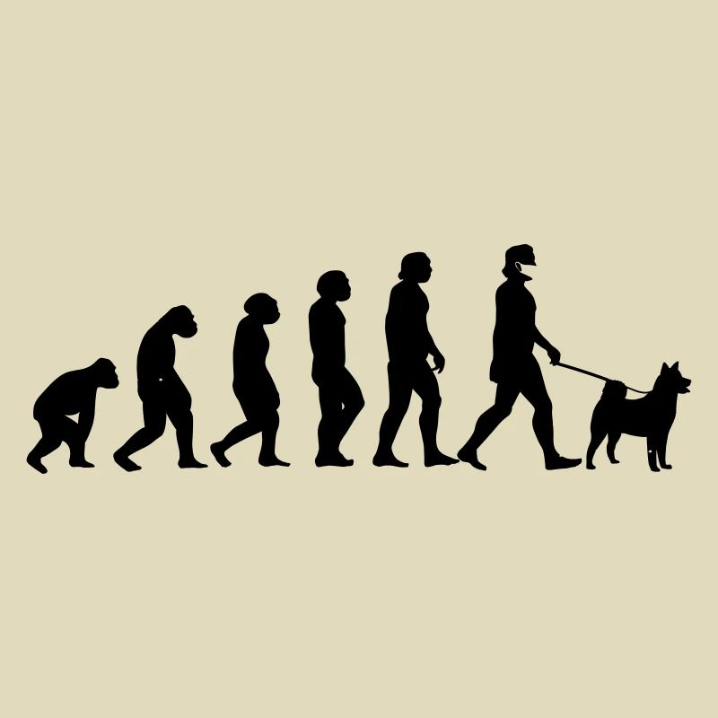 Evolution dog