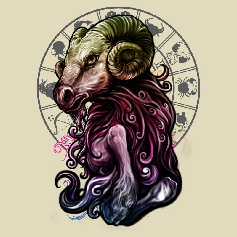 Sternzeichen Widder rainbow grey - RAHMENLOS