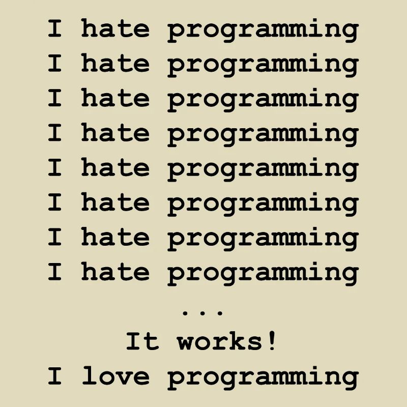 Developer computer scientist