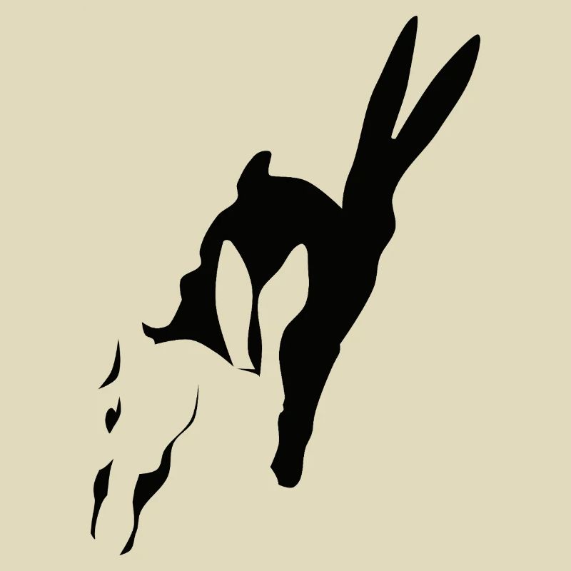 Bunny runs shadow bunny Easter bunny rabbit hop