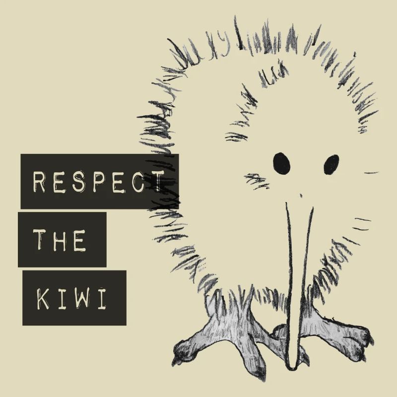DATA Respect the Kiwi GREY