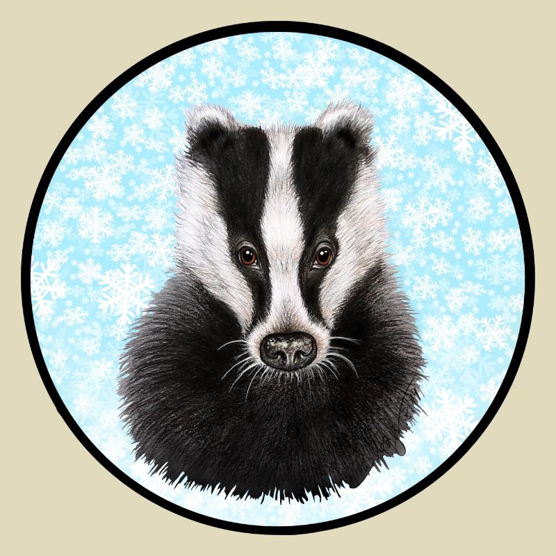 Badger/Dachs im Schnee