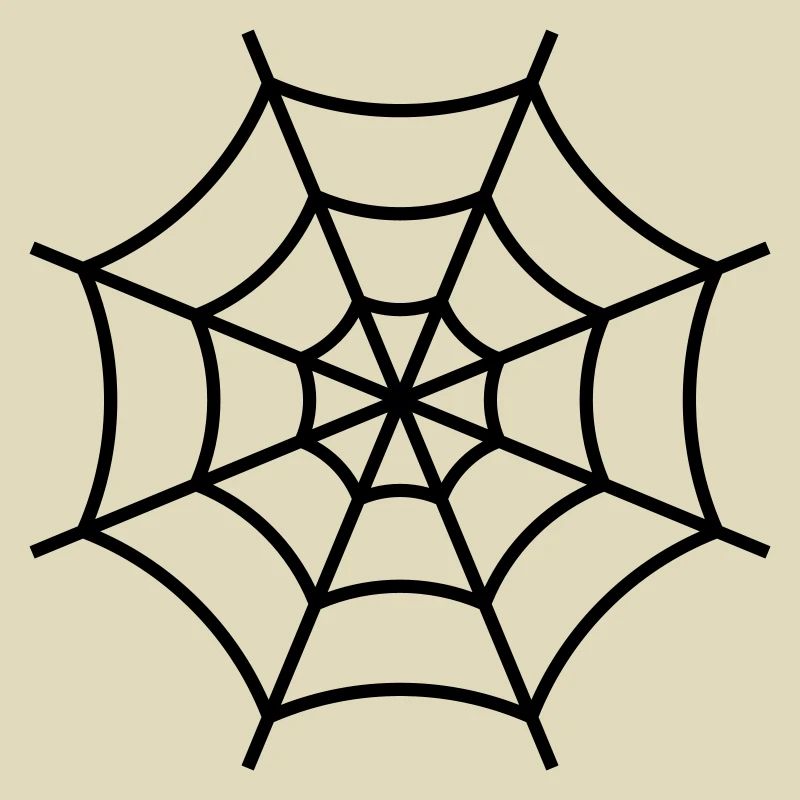 Spinnennetz