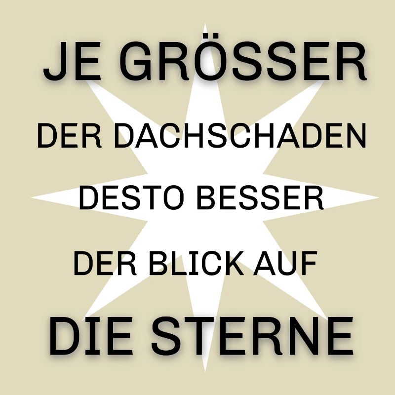 Dachschaden Dachdecker