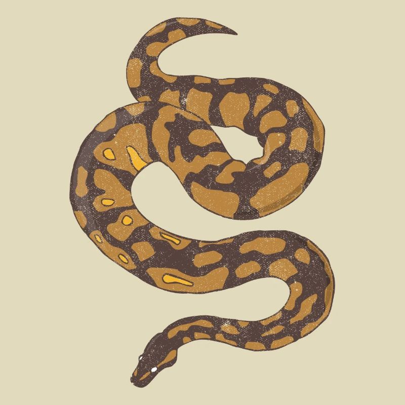 Ball Python